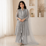 Silver Mist Embroidered Formal Set